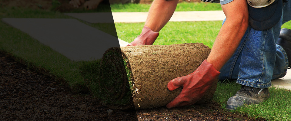 Port Washington Landscapers